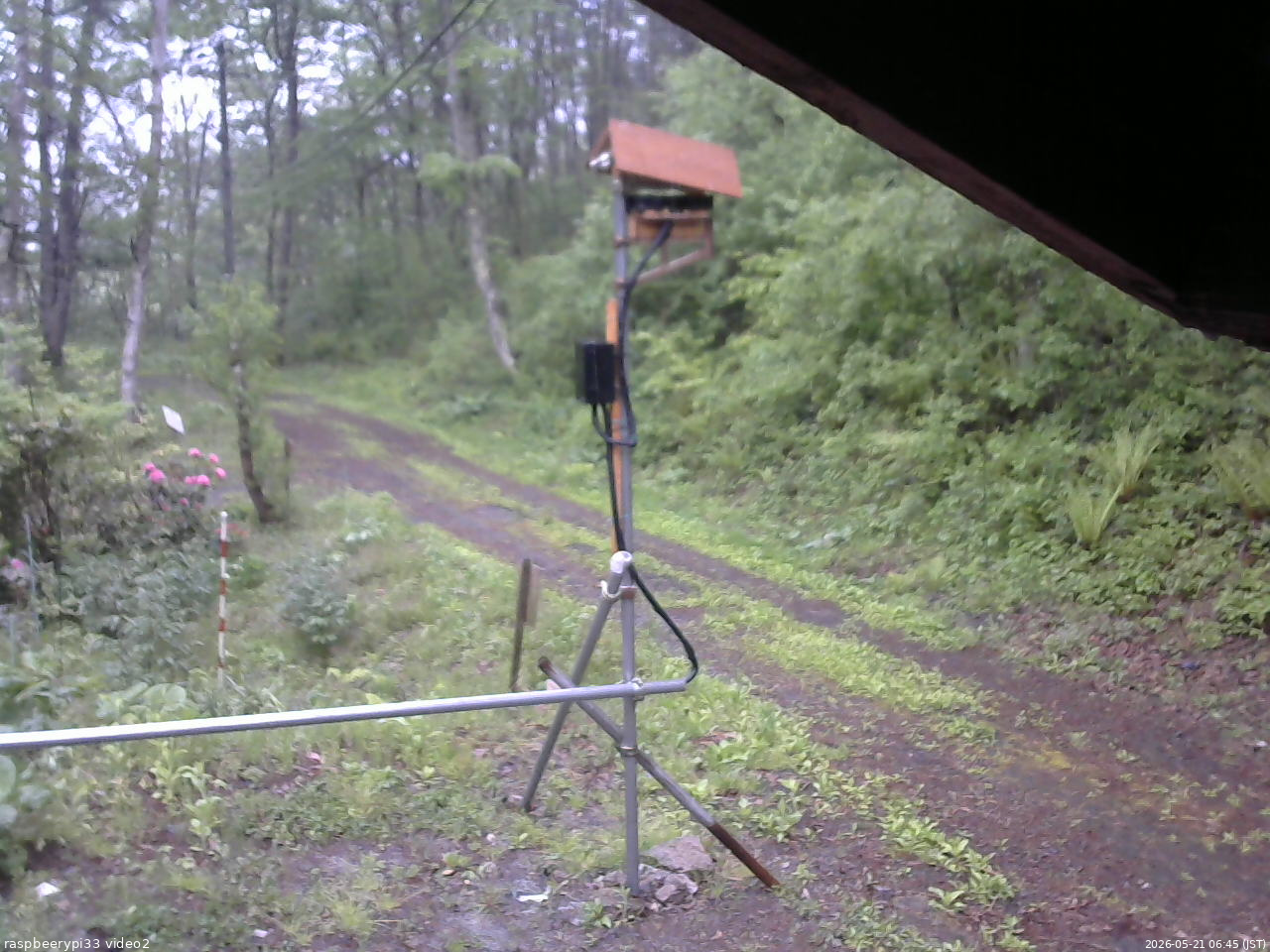 長野県菅平高原 ゆたか山荘 南側 2026/05/21 06:45