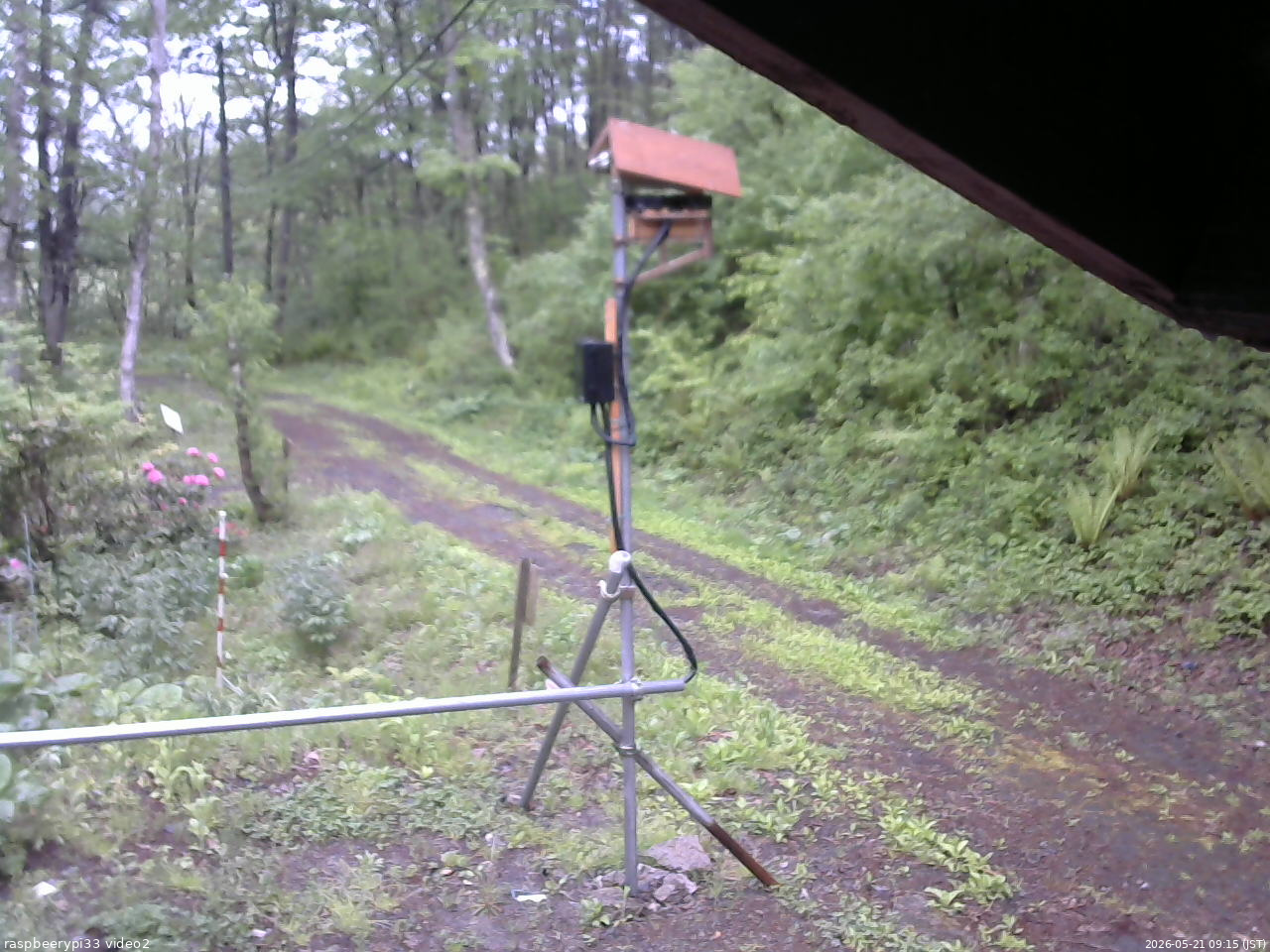長野県菅平高原 ゆたか山荘 南側 2026/05/21 09:15