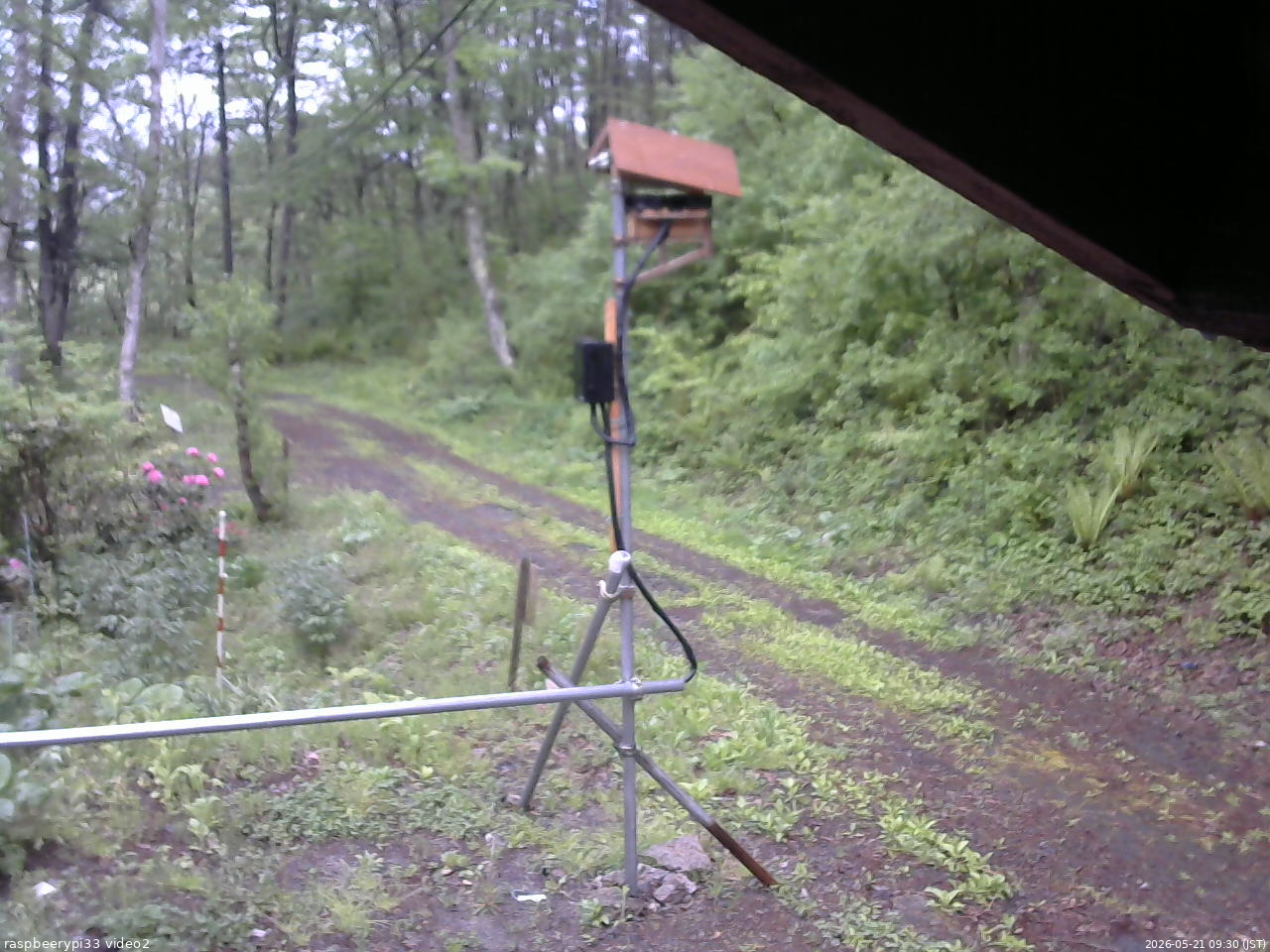 長野県菅平高原 ゆたか山荘 南側 2026/05/21 09:30