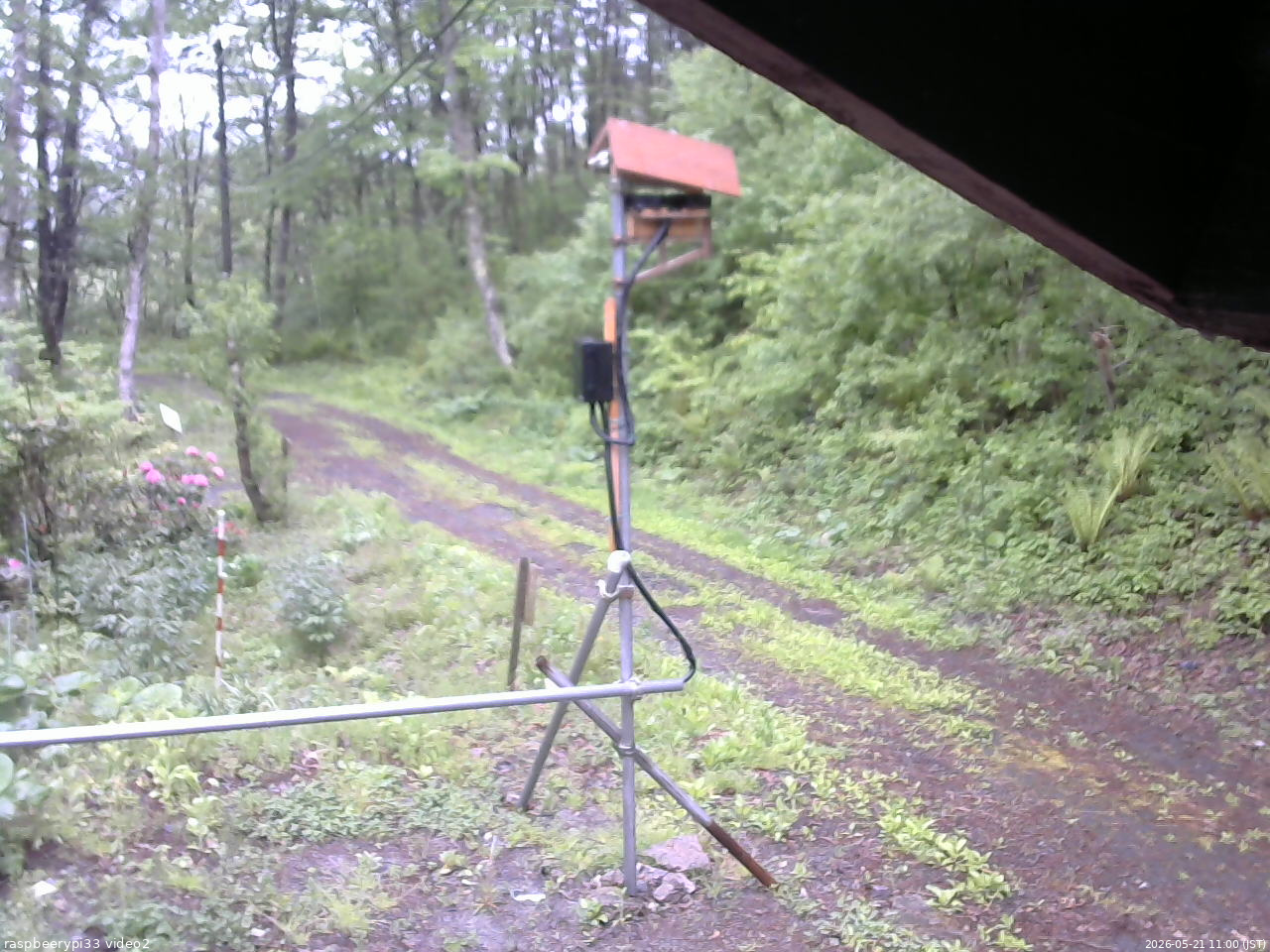 長野県菅平高原 ゆたか山荘 南側 2026/05/21 11:00