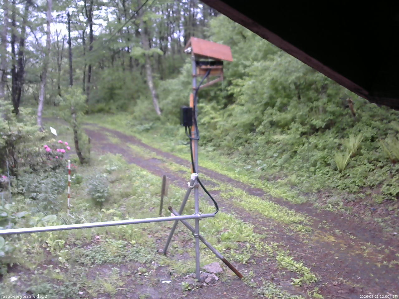 長野県菅平高原 ゆたか山荘 南側 2026/05/21 12:00