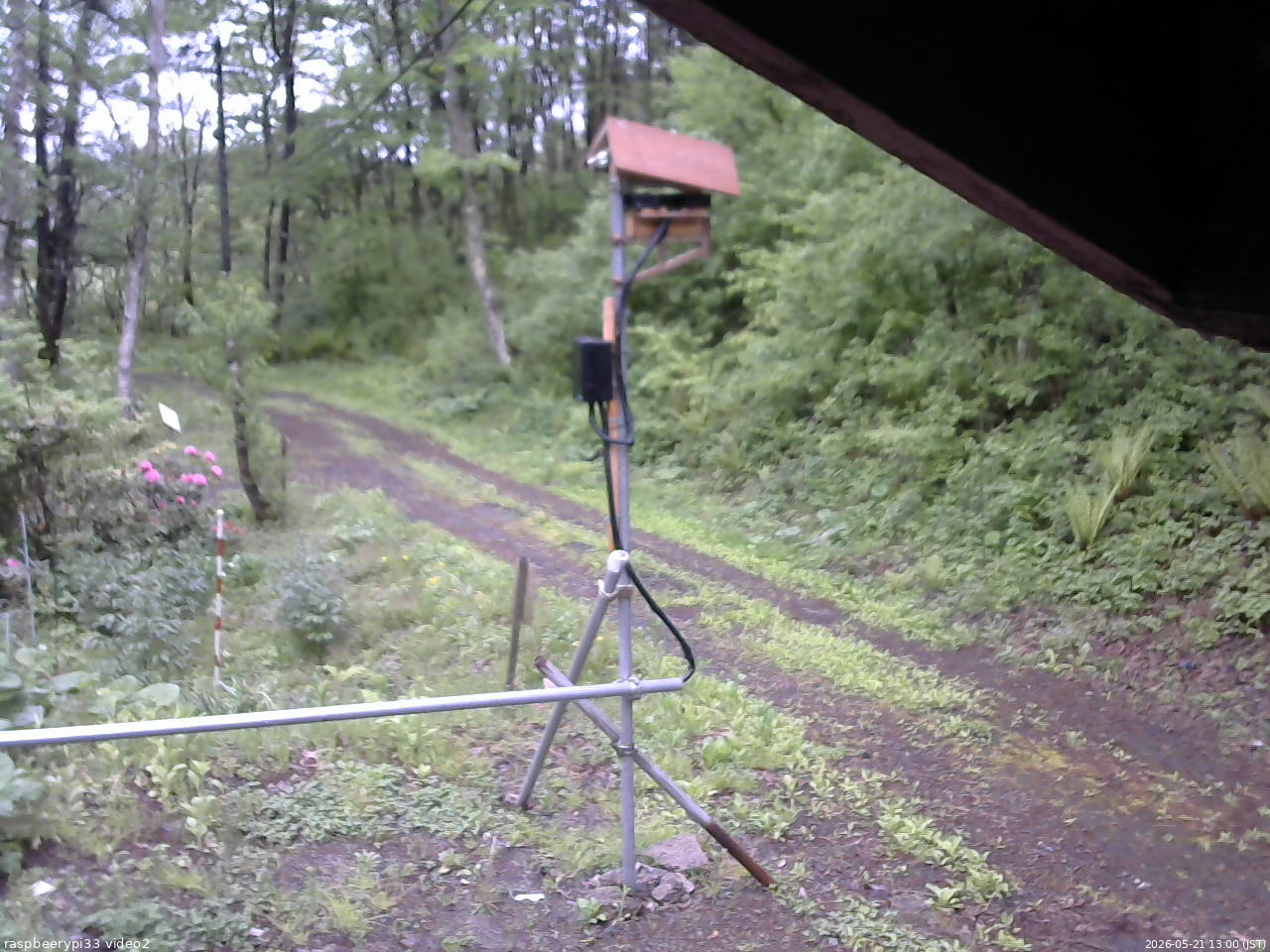 長野県菅平高原 ゆたか山荘 南側 2026/05/21 13:00