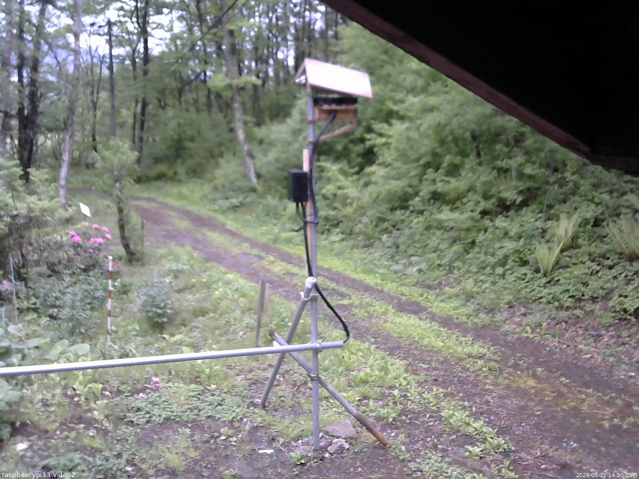 長野県菅平高原 ゆたか山荘 南側 2026/05/21 14:30