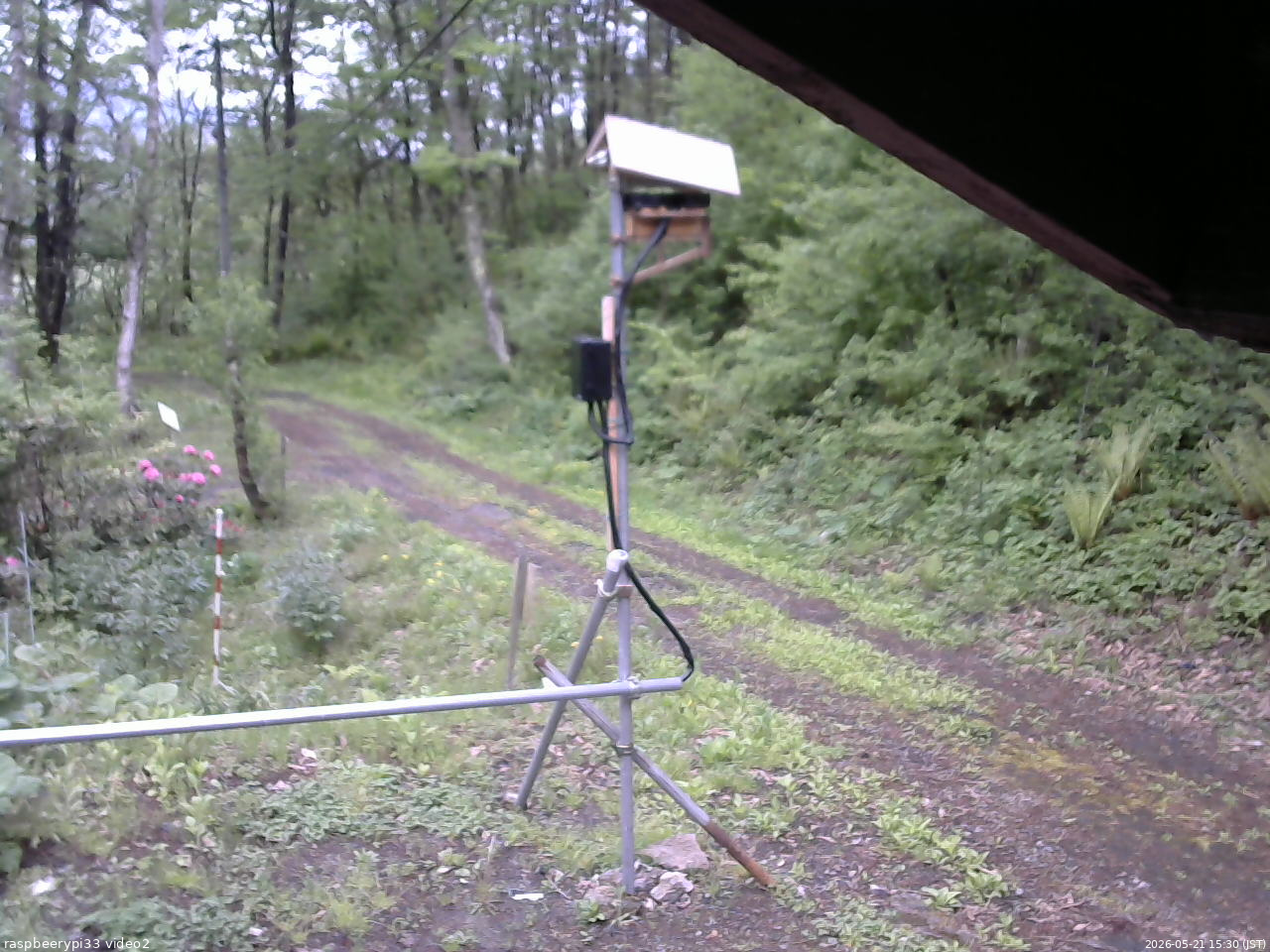 長野県菅平高原 ゆたか山荘 南側 2026/05/21 15:30