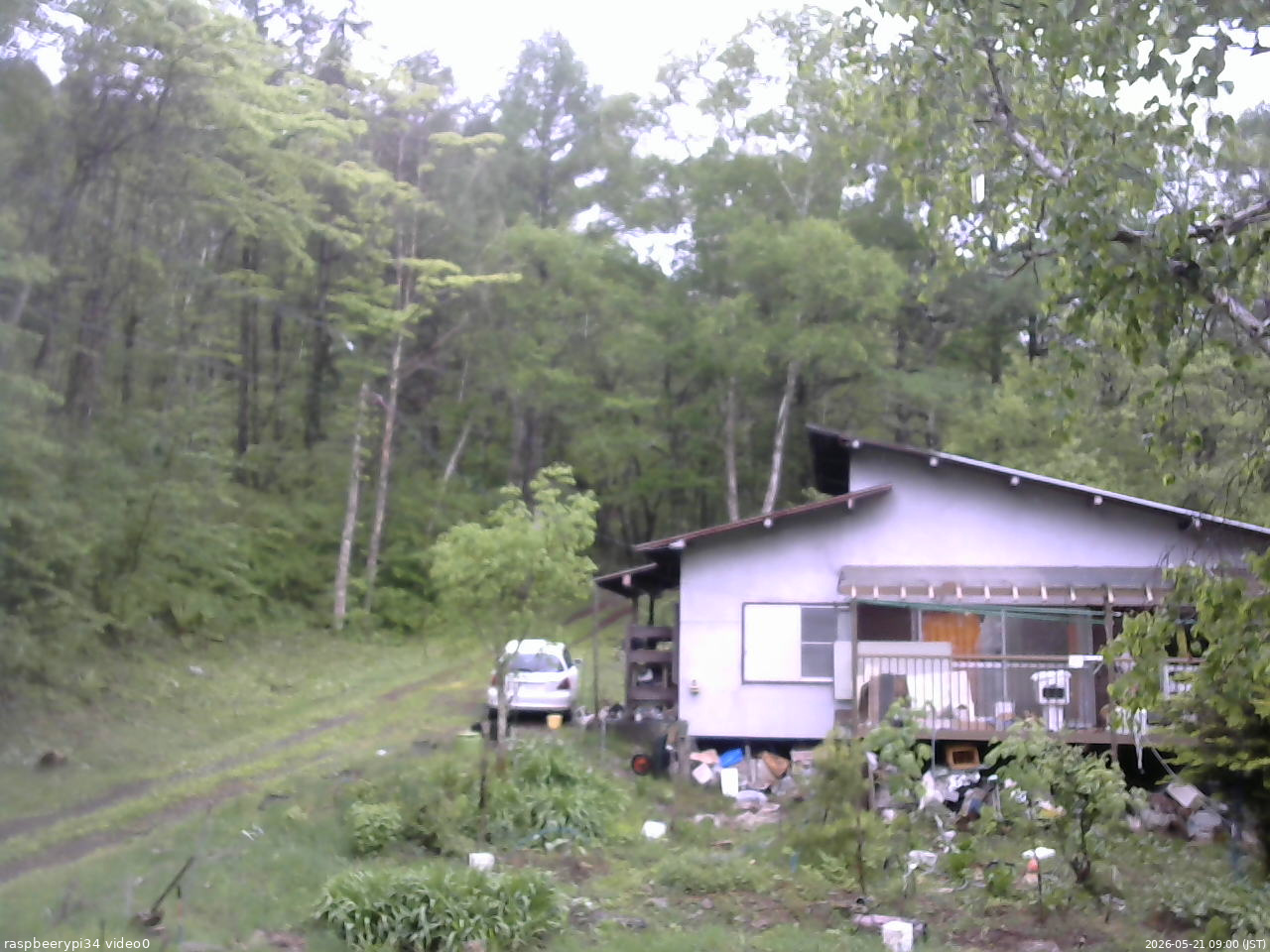 長野県菅平高原 ゆたか山荘 西側(坂上) 2026/05/21 09:00