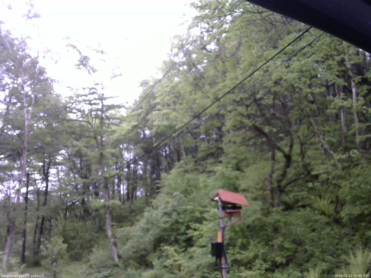 長野県菅平高原 ゆたか山荘 温度計 2026/05/21 12:45