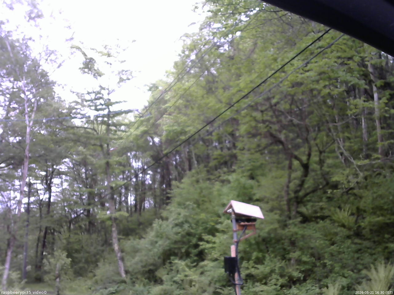 長野県菅平高原 ゆたか山荘 温度計 2026/05/21 16:30