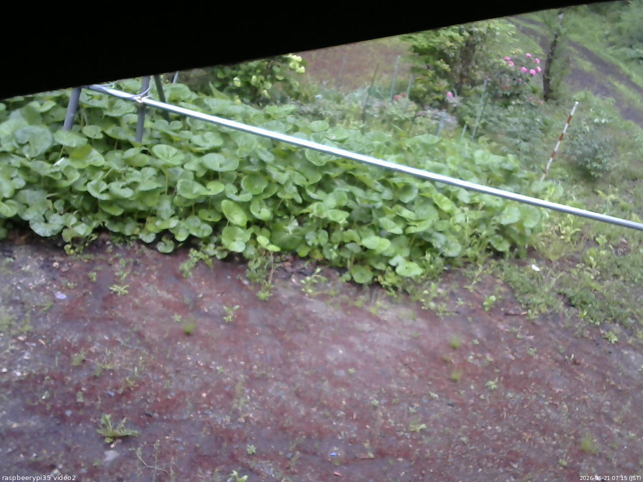 長野県菅平高原 ゆたか山荘 駐車場 2026/05/21 07:15