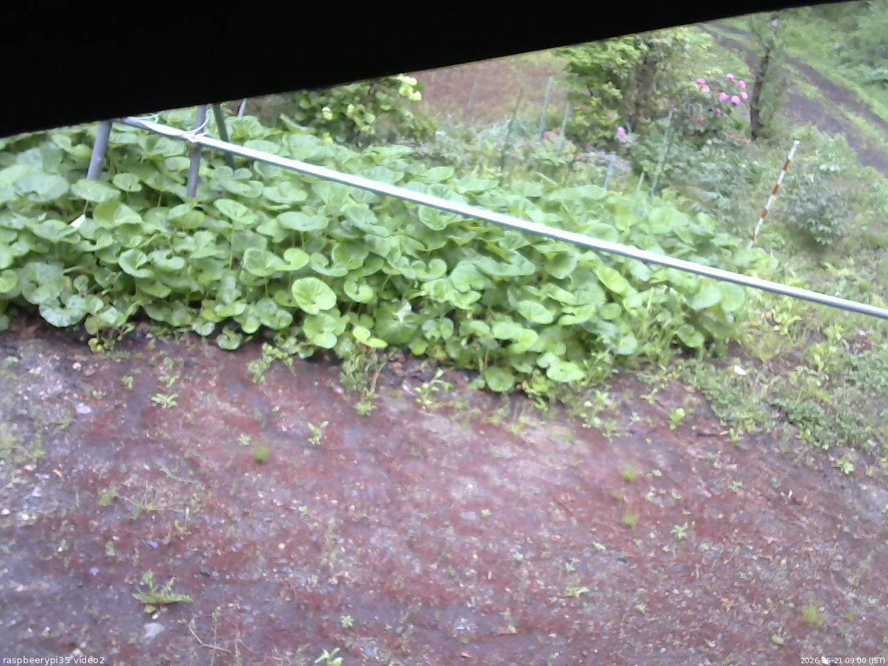 長野県菅平高原 ゆたか山荘 駐車場 2026/05/21 09:00
