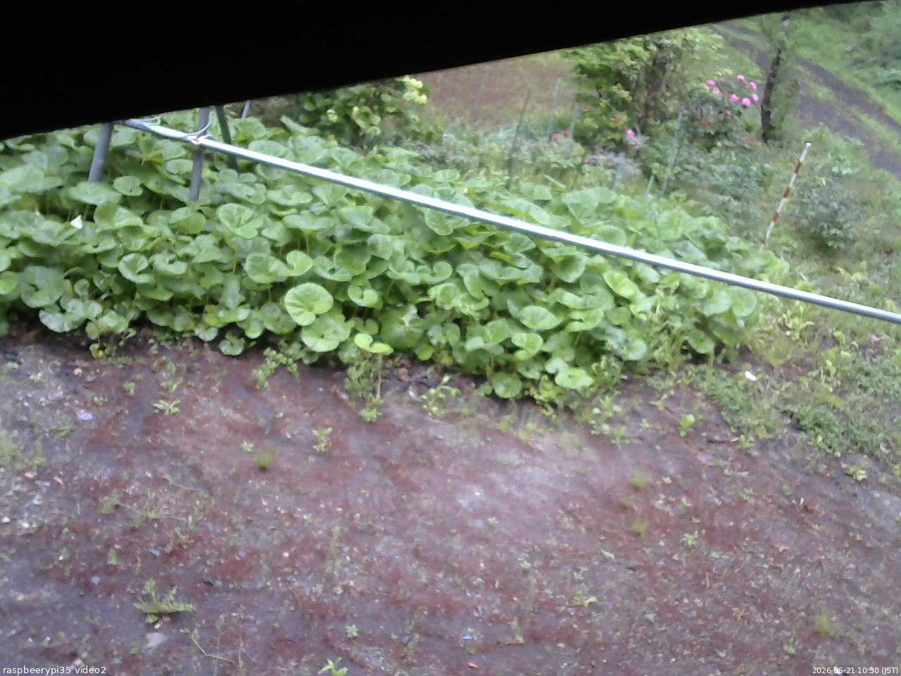 長野県菅平高原 ゆたか山荘 駐車場 2026/05/21 10:30