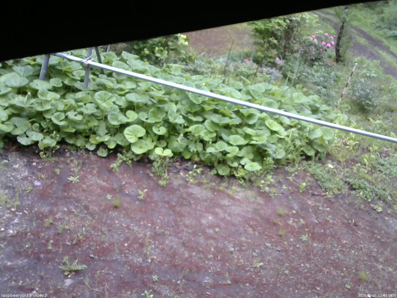 長野県菅平高原 ゆたか山荘 駐車場 2026/05/21 12:45