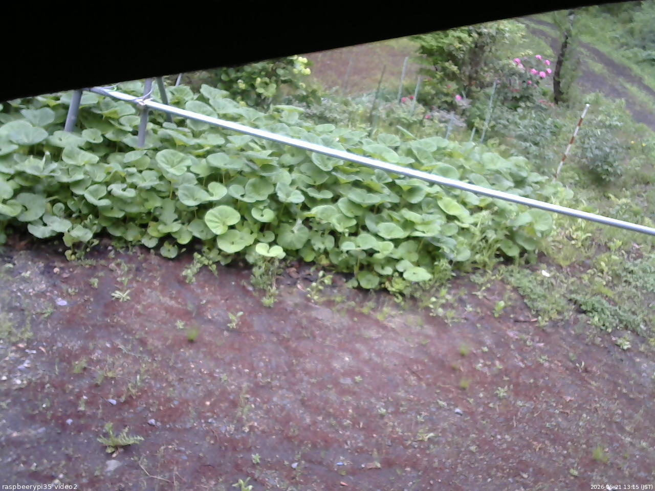 長野県菅平高原 ゆたか山荘 駐車場 2026/05/21 13:15