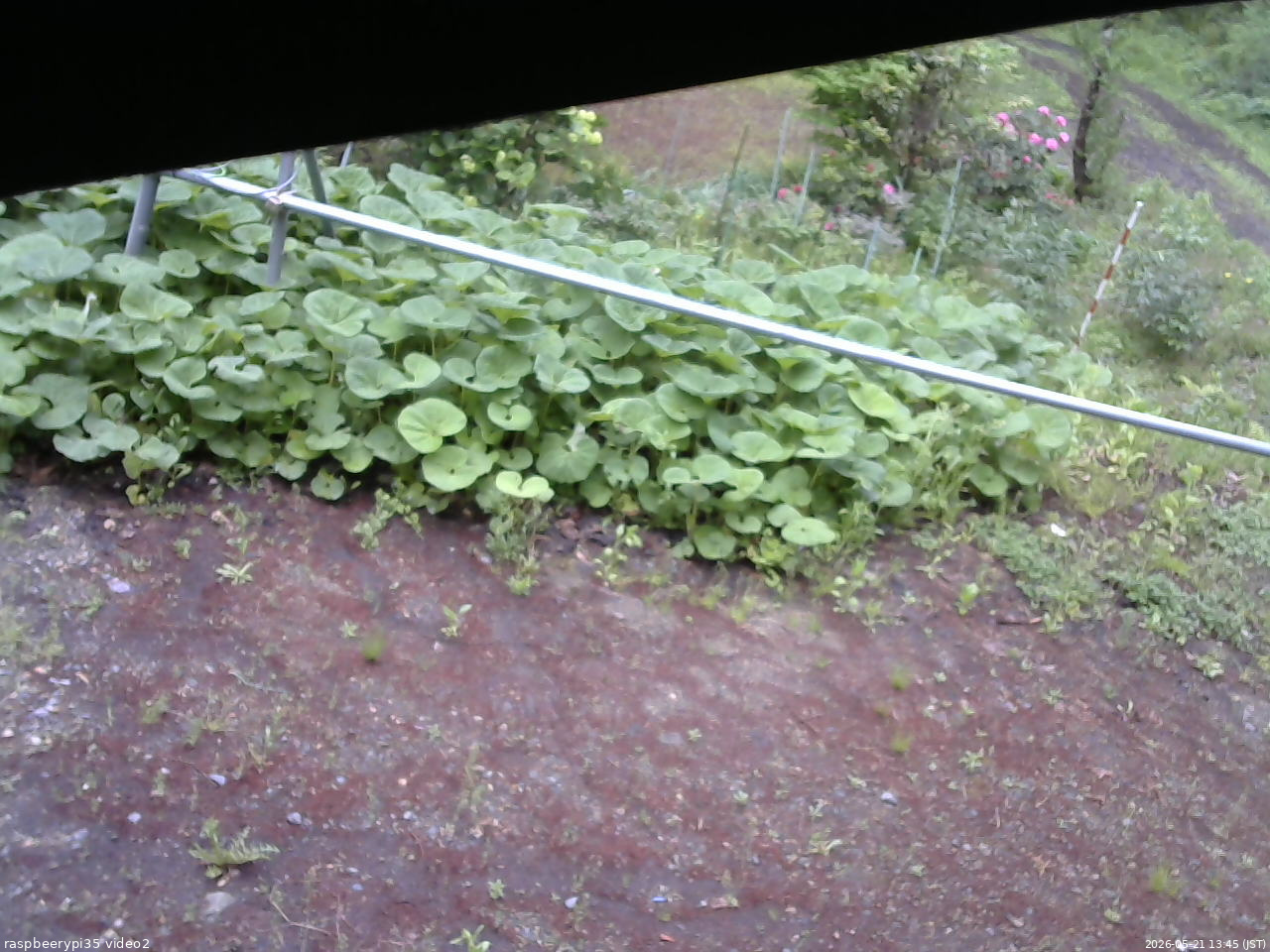 長野県菅平高原 ゆたか山荘 駐車場 2026/05/21 13:45