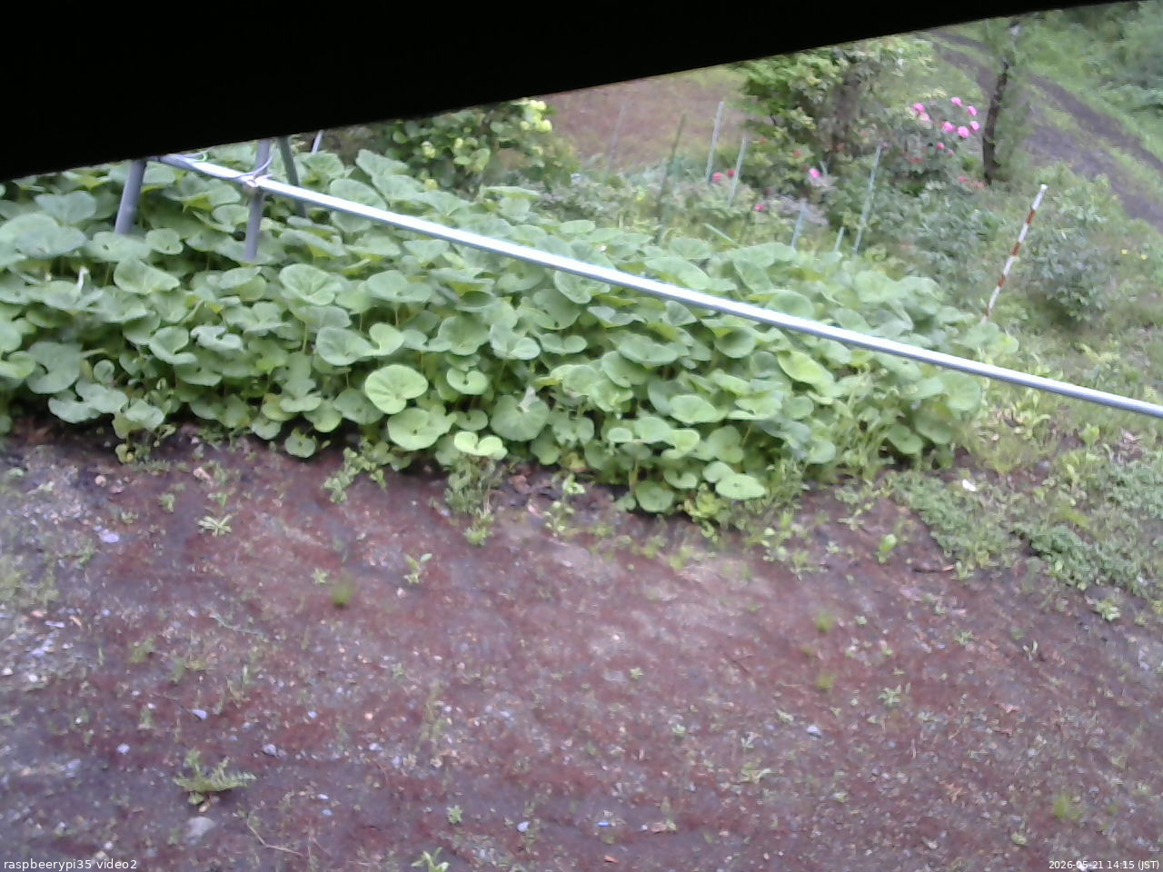長野県菅平高原 ゆたか山荘 駐車場 2026/05/21 14:15