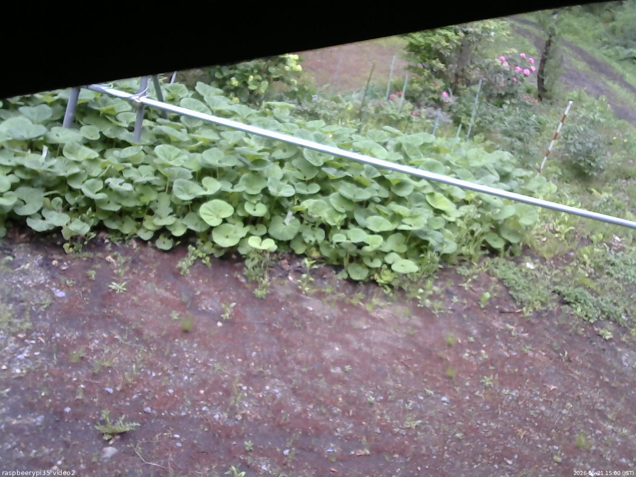 長野県菅平高原 ゆたか山荘 駐車場 2026/05/21 15:00