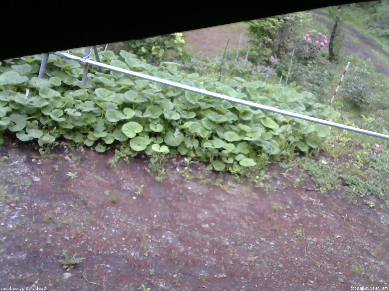 長野県菅平高原 ゆたか山荘 駐車場 2026/05/21 15:30