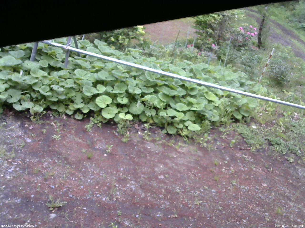 長野県菅平高原 ゆたか山荘 駐車場 2026/05/21 16:00