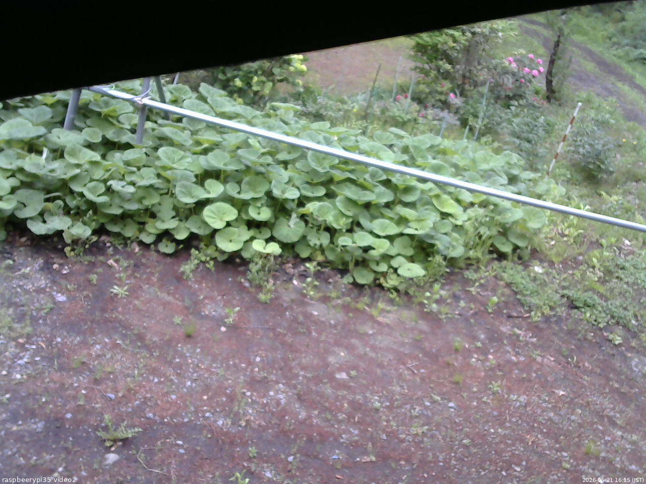 長野県菅平高原 ゆたか山荘 駐車場 2026/05/21 16:15