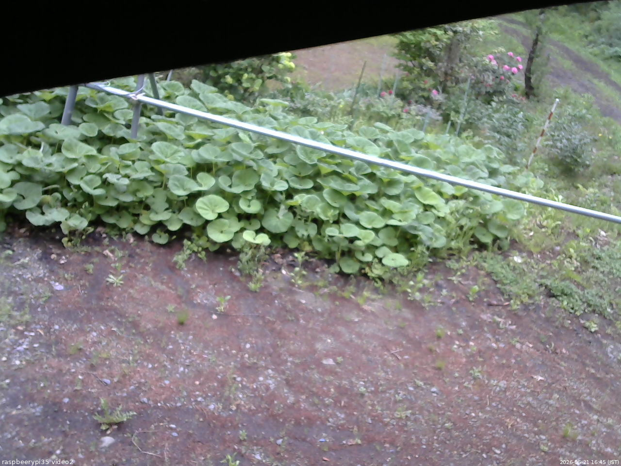 長野県菅平高原 ゆたか山荘 駐車場 2026/05/21 16:45