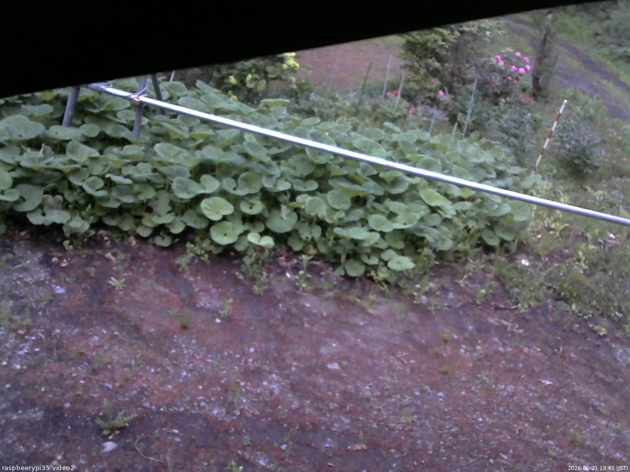 長野県菅平高原 ゆたか山荘 駐車場 2026/05/21 18:45