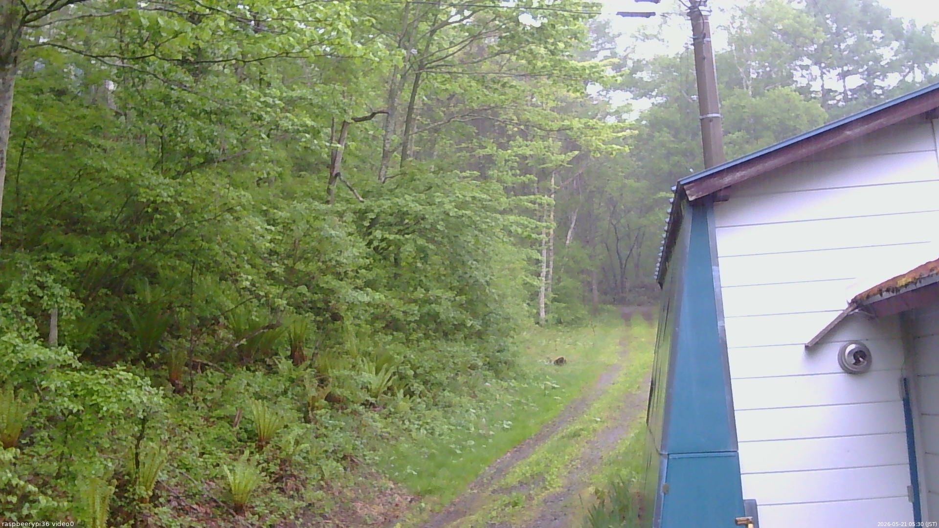 長野県菅平高原 ゆたか山荘 ゆたか山荘 2026/05/21 05:30