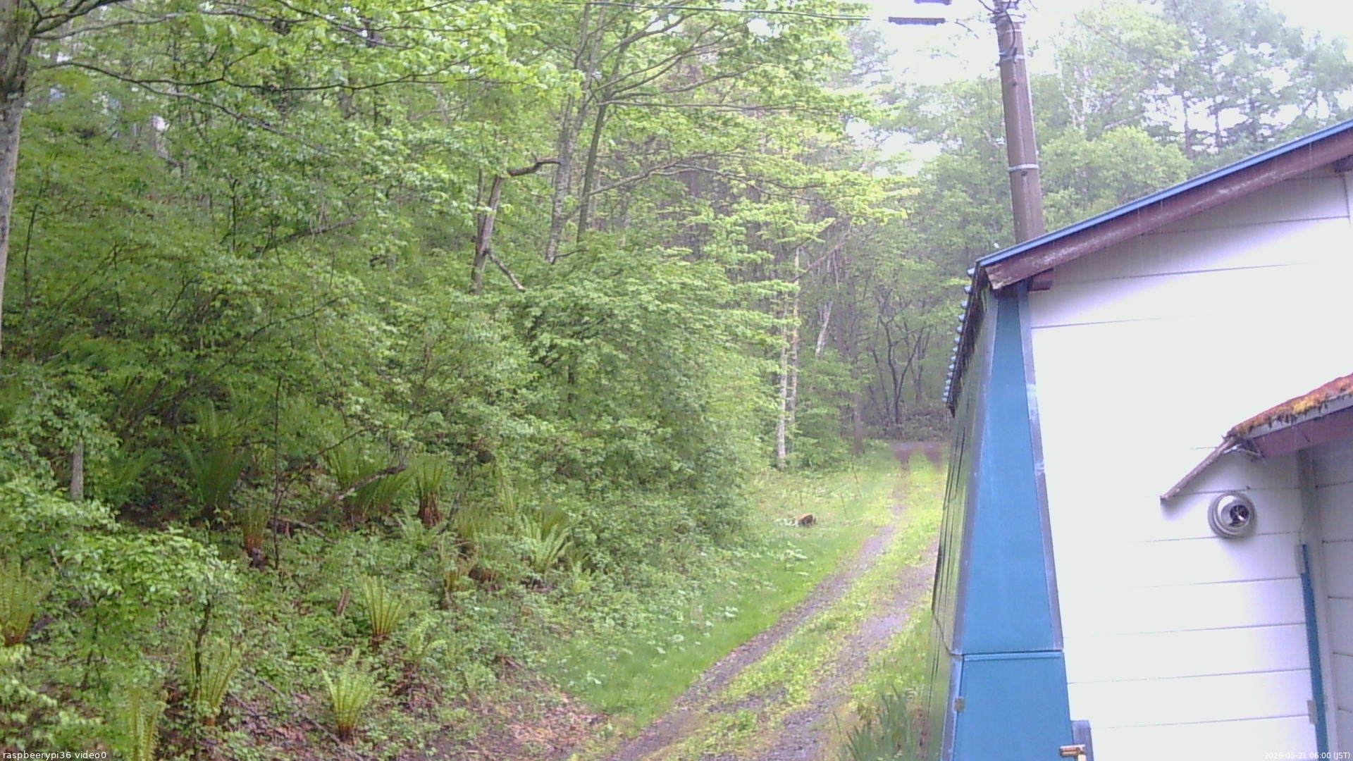 長野県菅平高原 ゆたか山荘 ゆたか山荘 2026/05/21 06:00