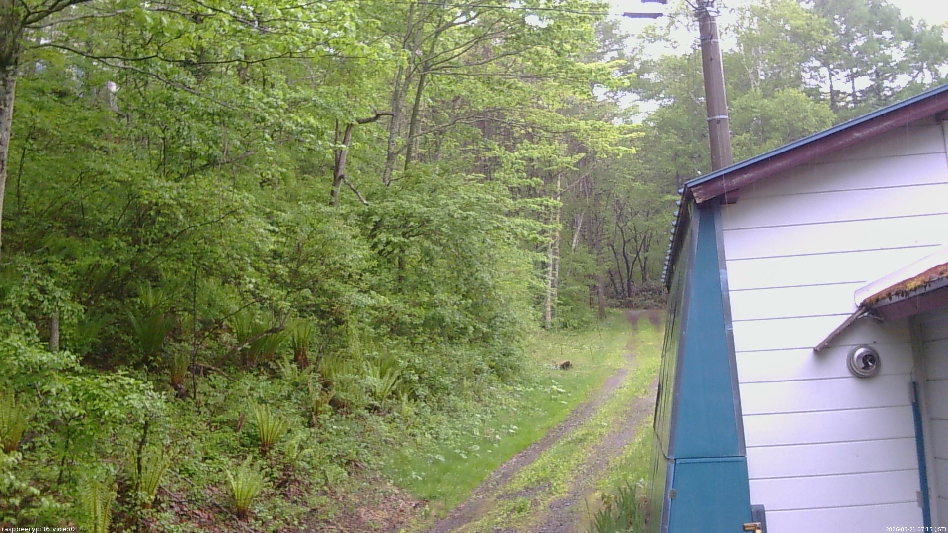 長野県菅平高原 ゆたか山荘 ゆたか山荘 2026/05/21 07:15