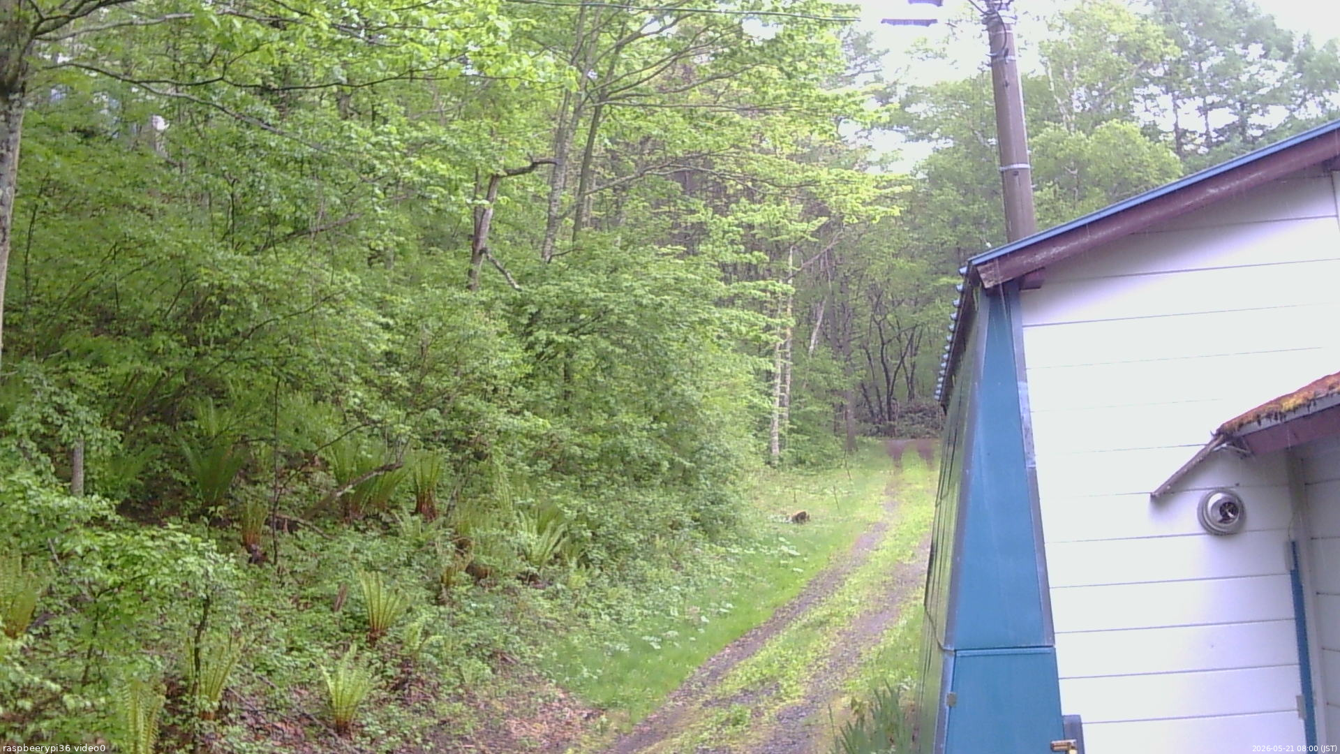 長野県菅平高原 ゆたか山荘 ゆたか山荘 2026/05/21 08:00