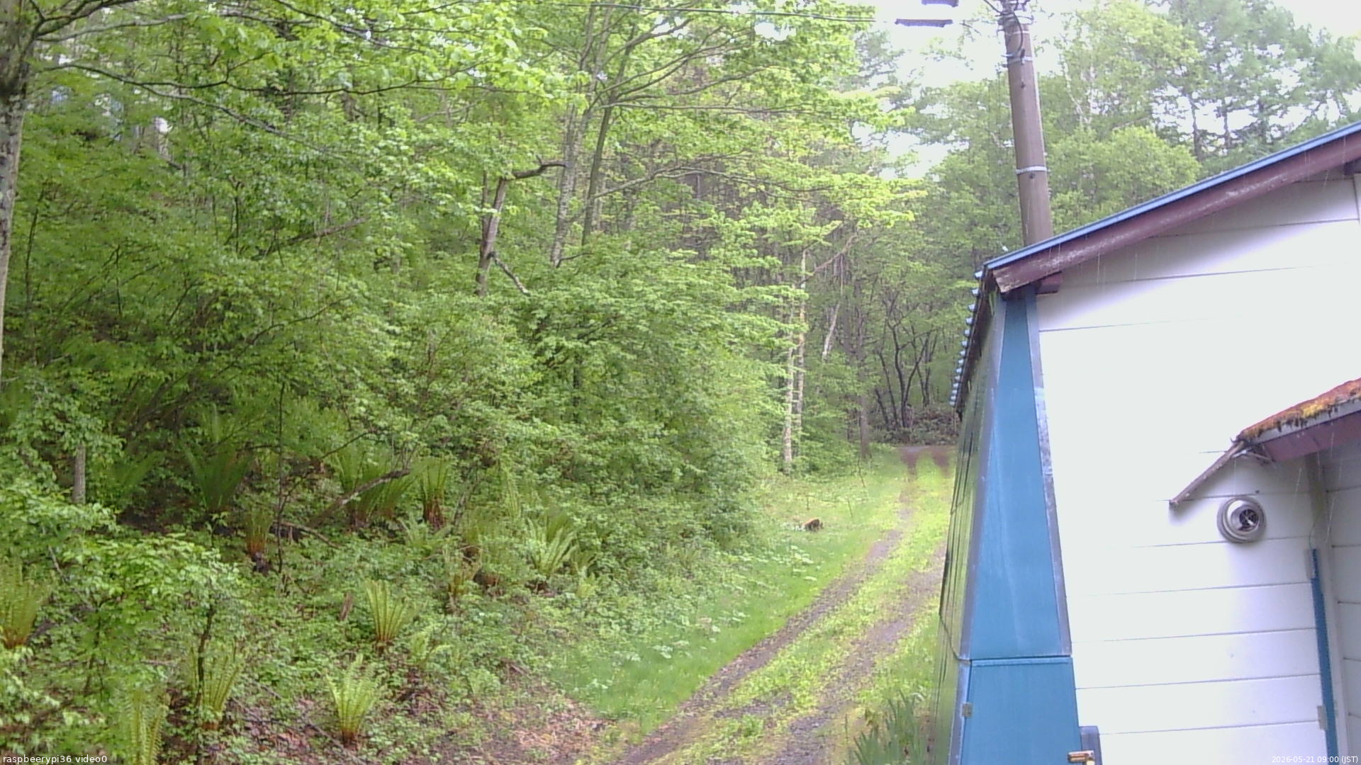 長野県菅平高原 ゆたか山荘 ゆたか山荘 2026/05/21 09:00
