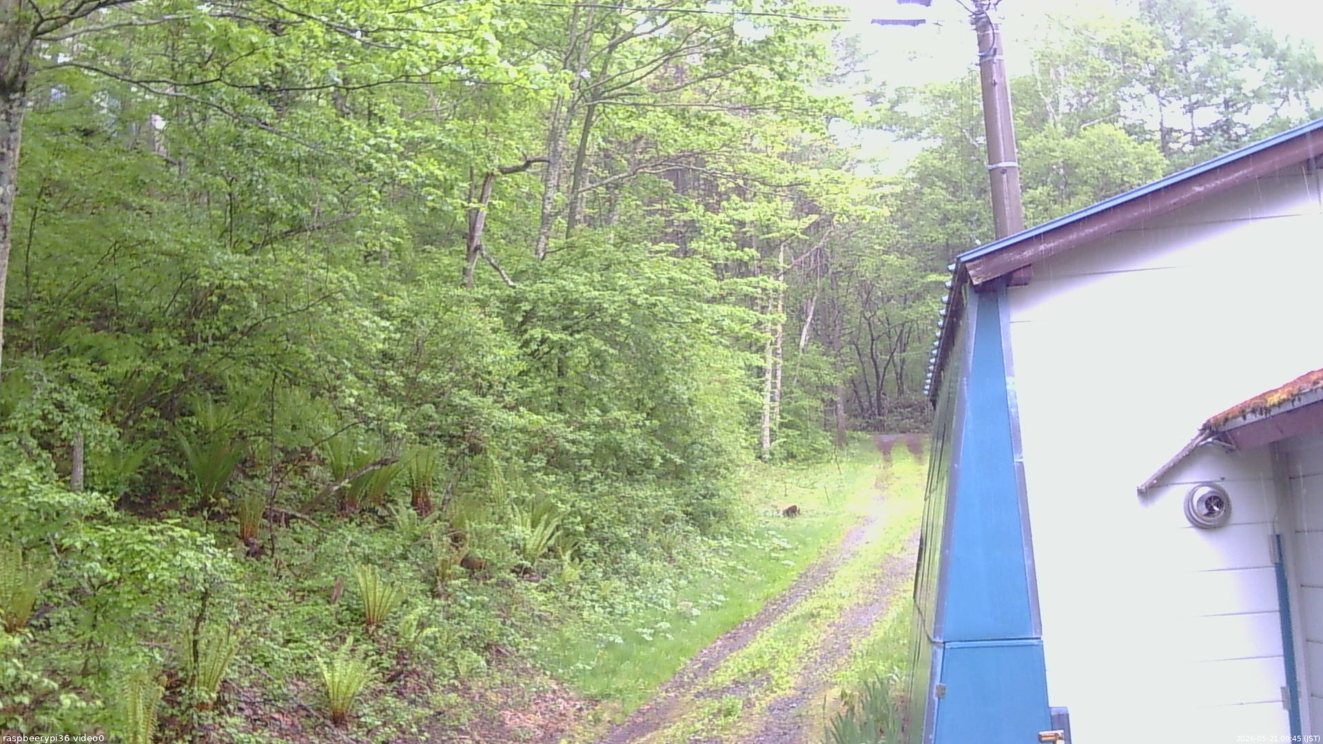 長野県菅平高原 ゆたか山荘 ゆたか山荘 2026/05/21 09:45