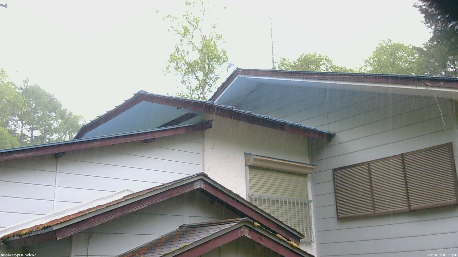 長野県菅平高原 ゆたか山荘 駐車場奥 2026/05/21 05:15