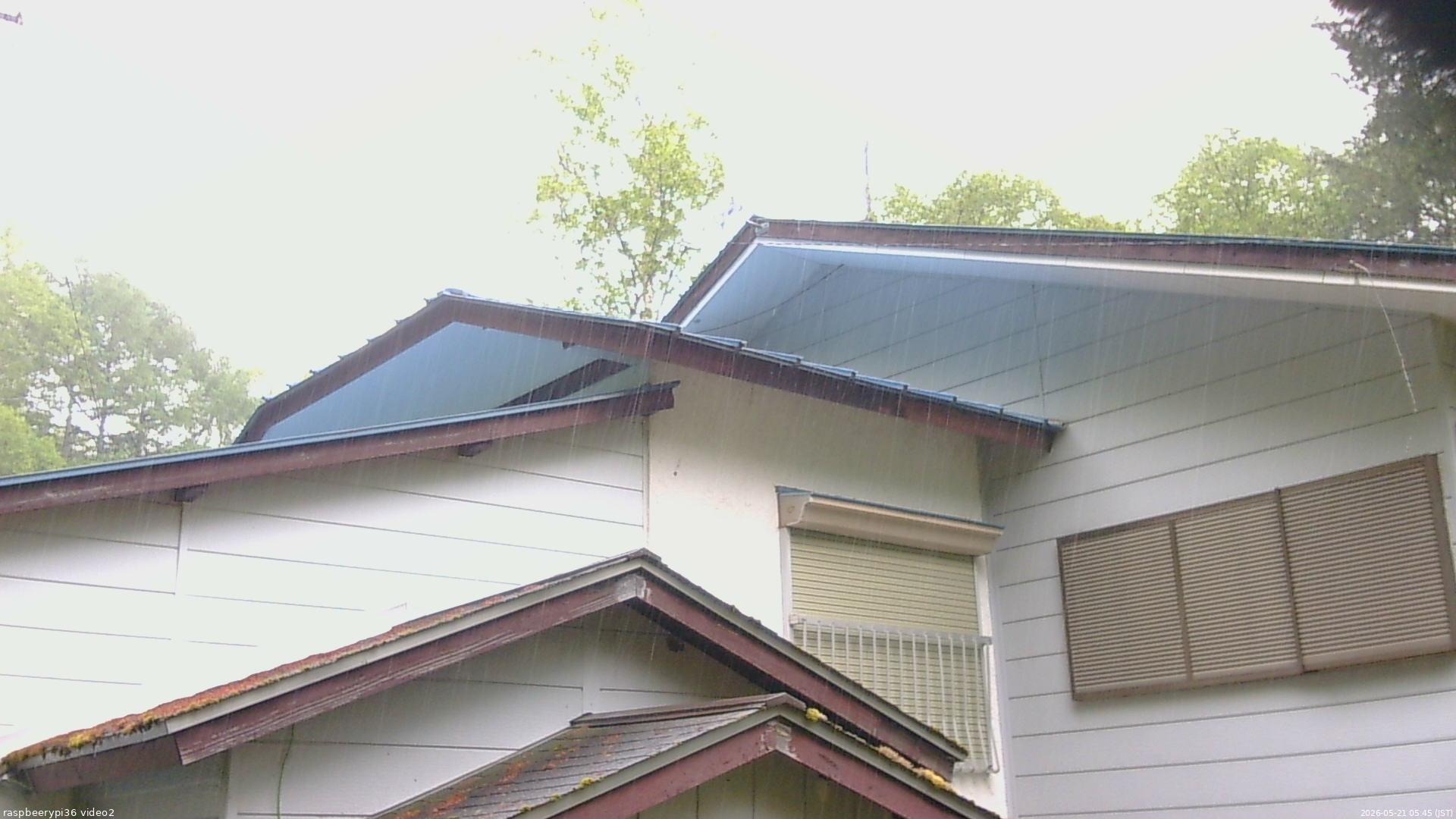 長野県菅平高原 ゆたか山荘 駐車場奥 2026/05/21 05:45