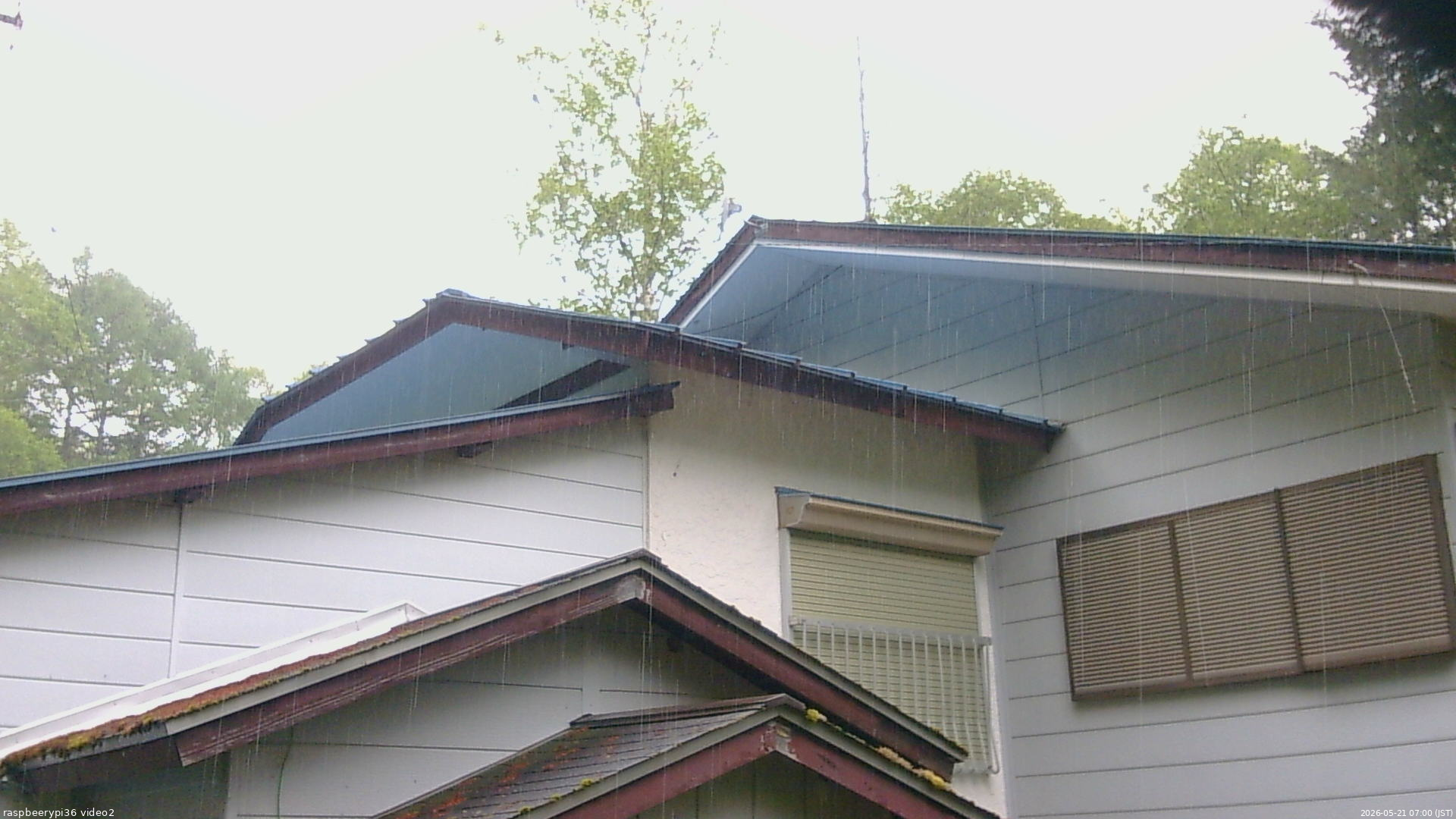 長野県菅平高原 ゆたか山荘 駐車場奥 2026/05/21 07:00