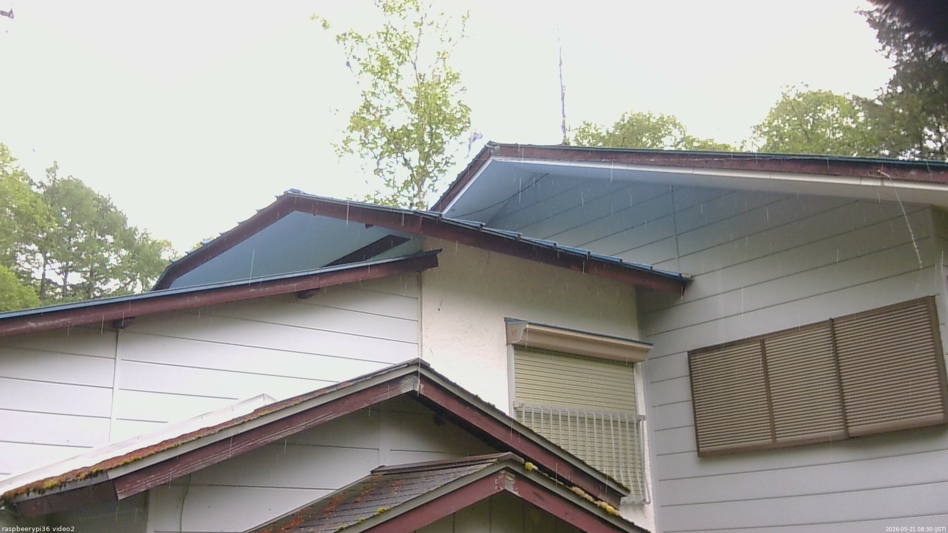 長野県菅平高原 ゆたか山荘 駐車場奥 2026/05/21 08:30