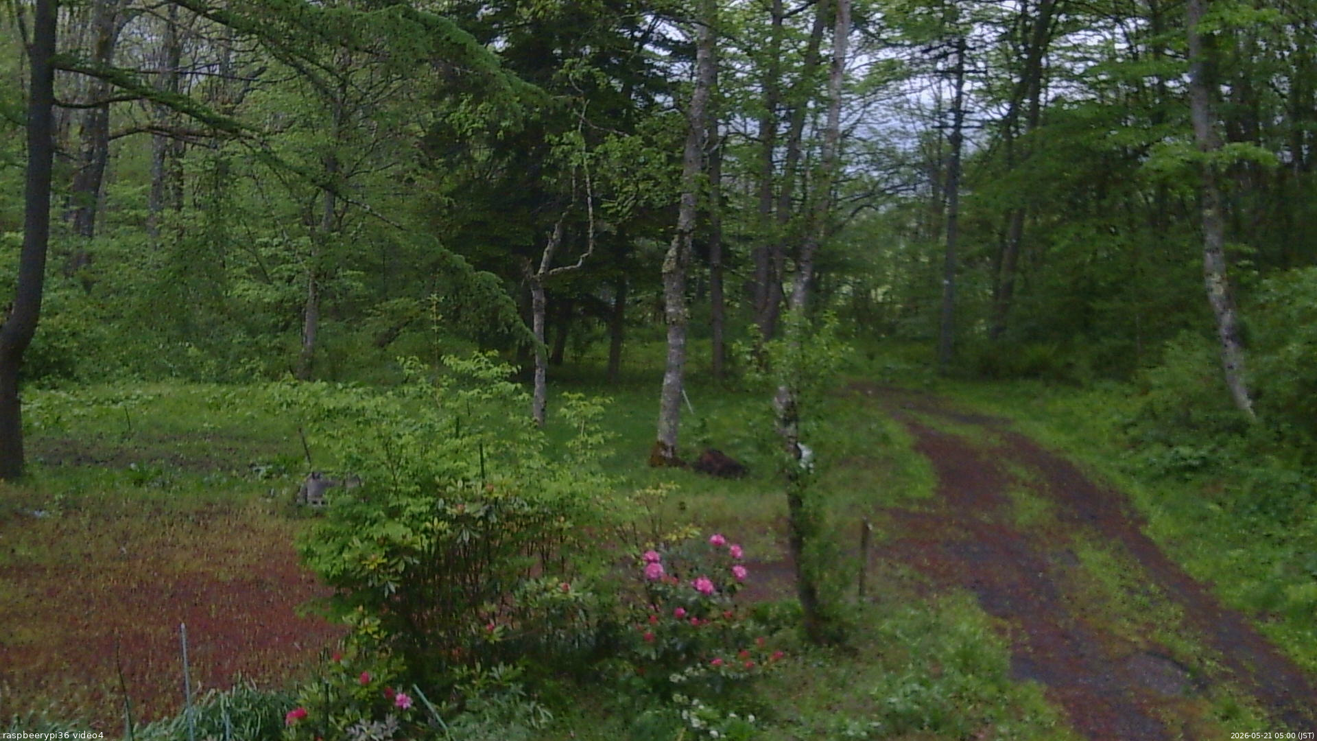 長野県菅平高原 ゆたか山荘 坂上 2026/05/21 05:00