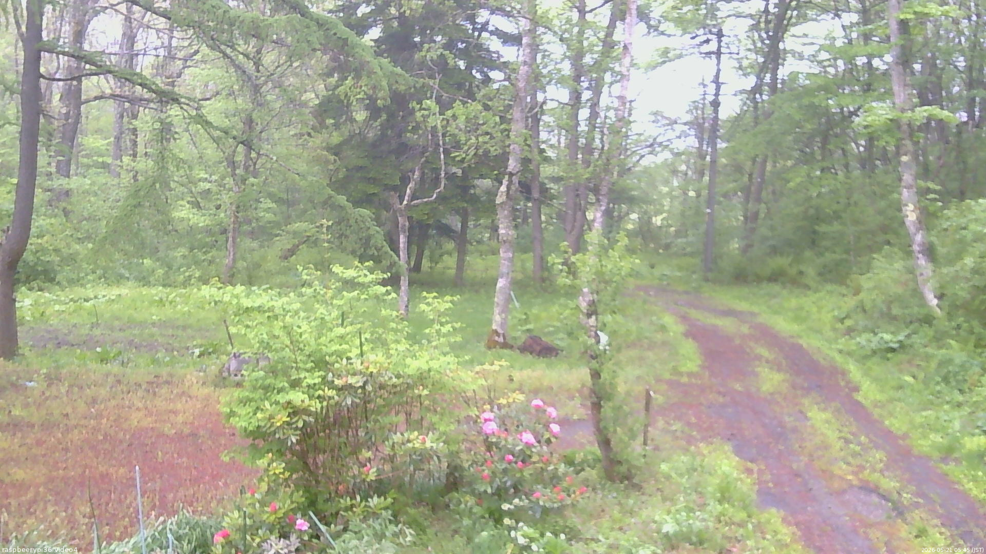 長野県菅平高原 ゆたか山荘 坂上 2026/05/21 05:45