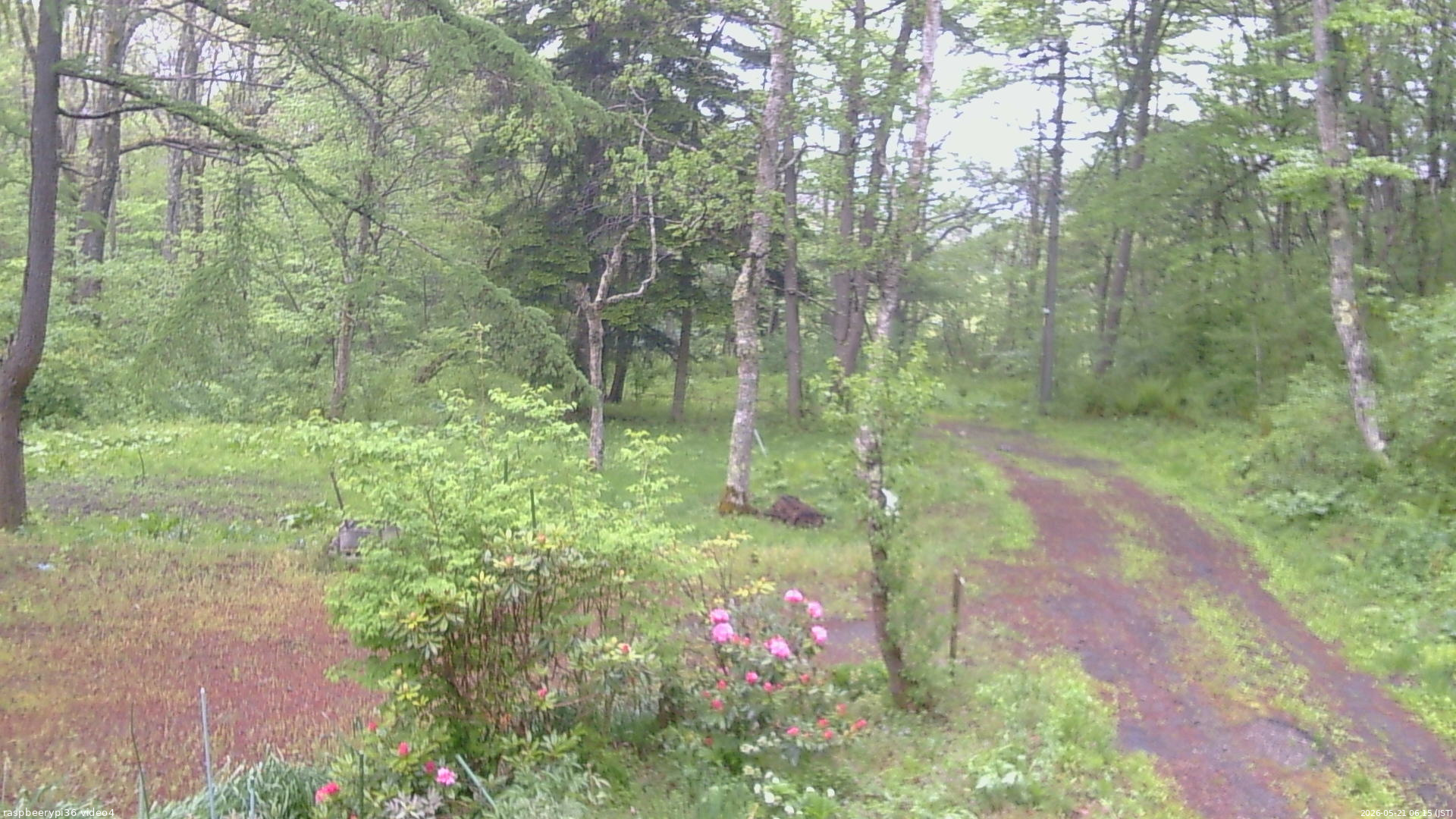 長野県菅平高原 ゆたか山荘 坂上 2026/05/21 06:15