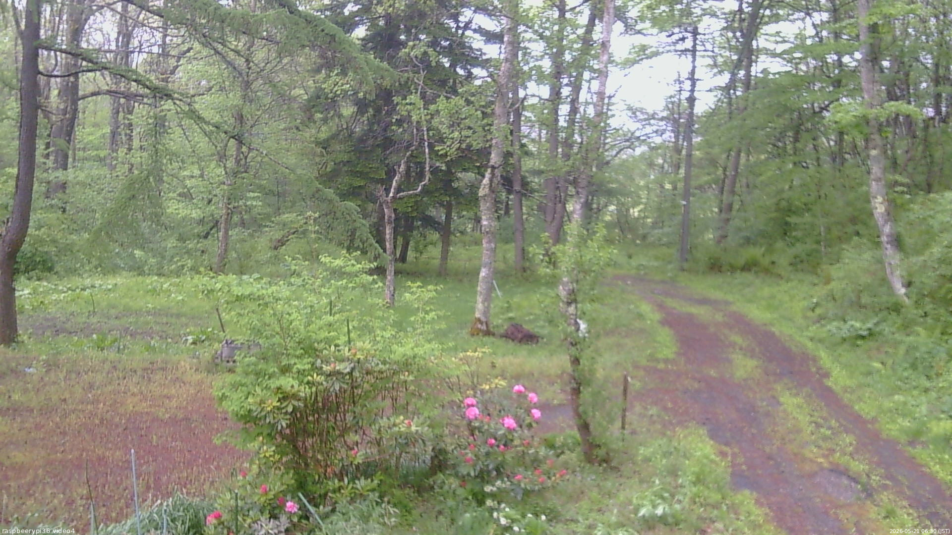 長野県菅平高原 ゆたか山荘 坂上 2026/05/21 06:30