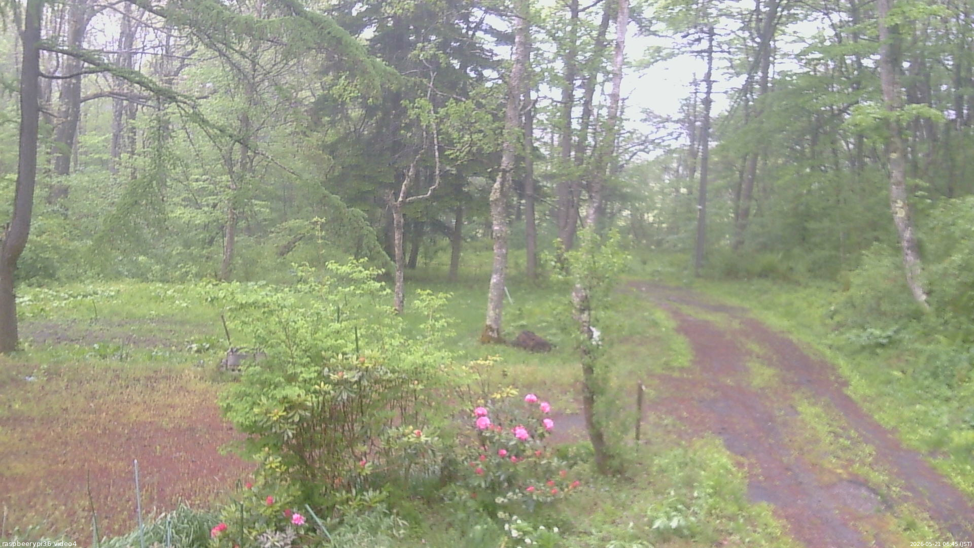 長野県菅平高原 ゆたか山荘 坂上 2026/05/21 06:45