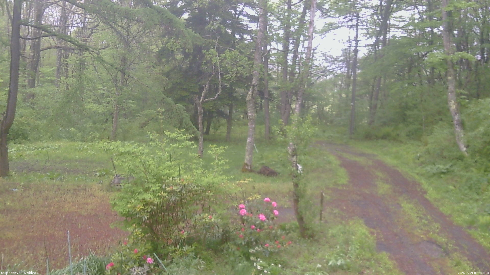 長野県菅平高原 ゆたか山荘 坂上 2026/05/21 07:00