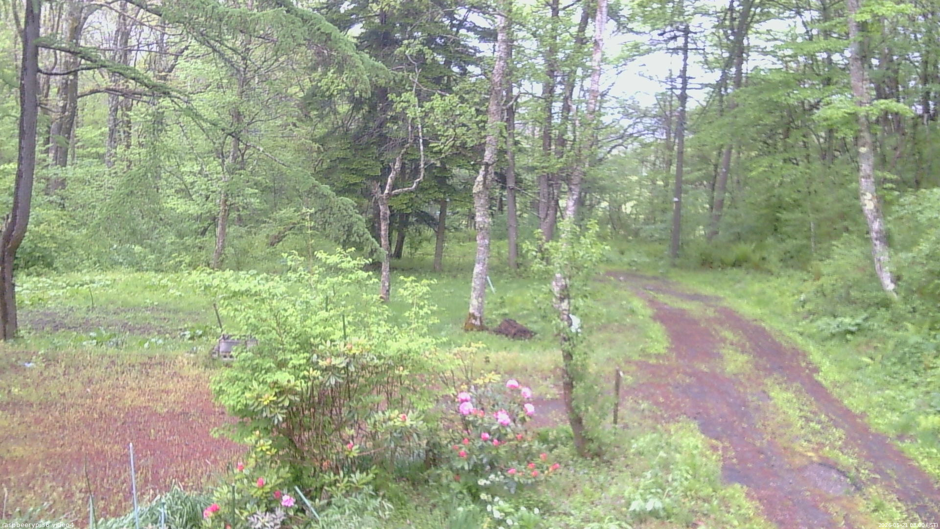 長野県菅平高原 ゆたか山荘 坂上 2026/05/21 08:00
