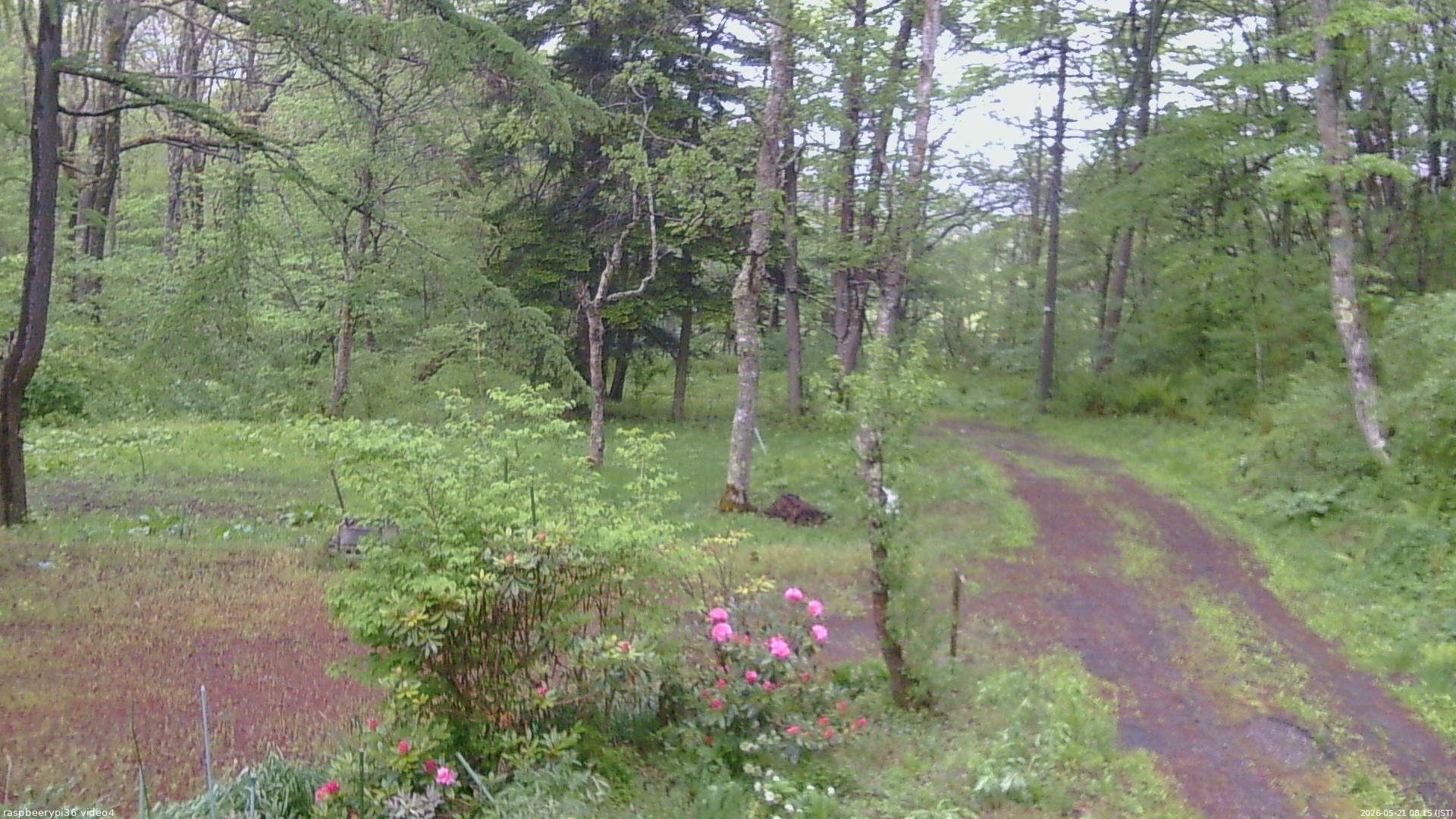 長野県菅平高原 ゆたか山荘 坂上 2026/05/21 08:15