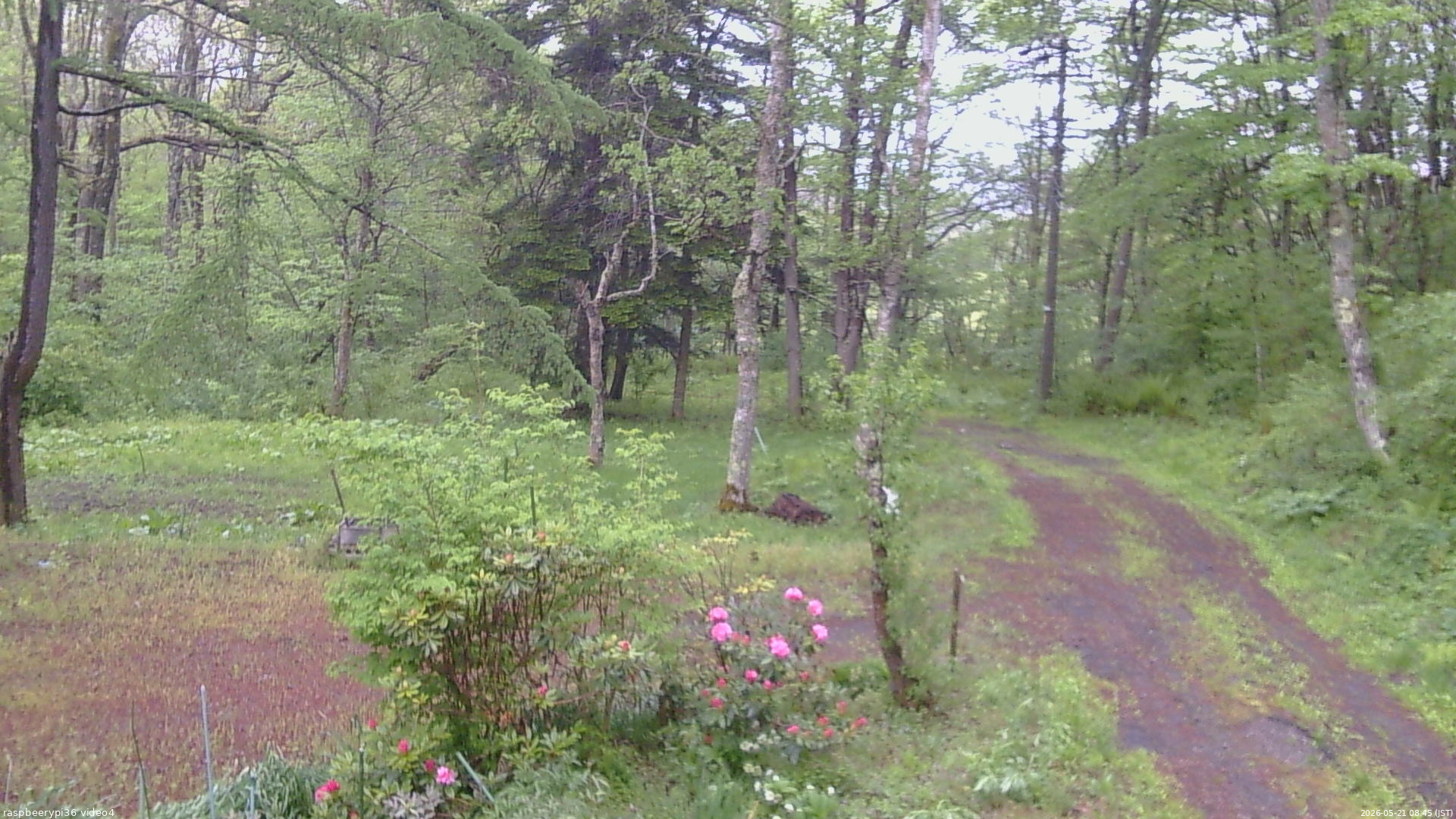 長野県菅平高原 ゆたか山荘 坂上 2026/05/21 08:45