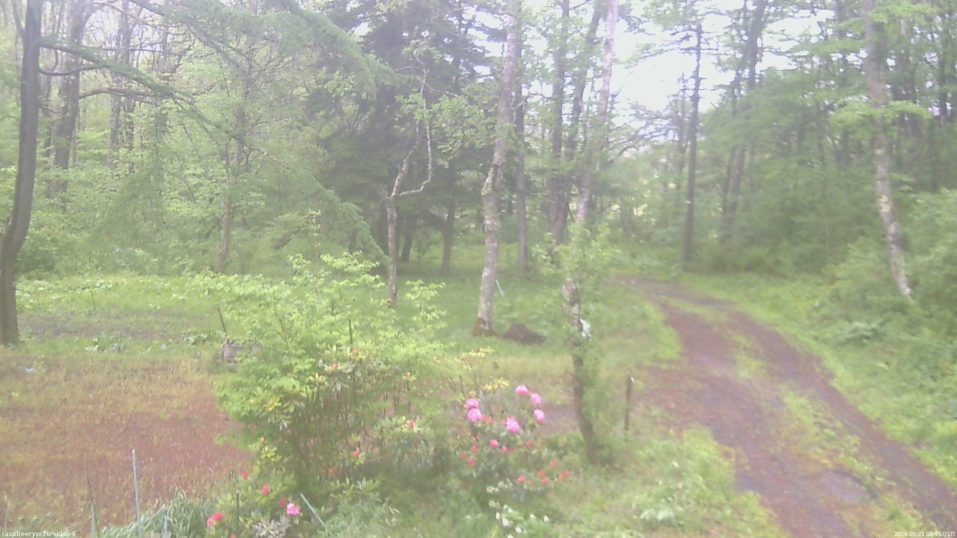 長野県菅平高原 ゆたか山荘 坂上 2026/05/21 09:45