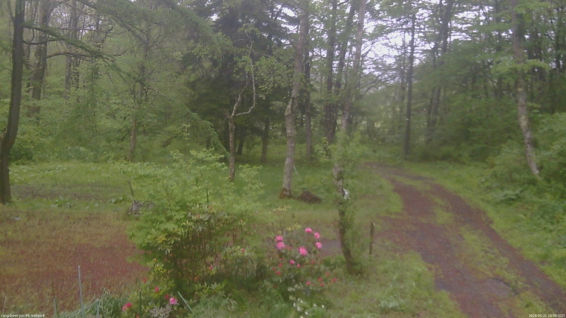 長野県菅平高原 ゆたか山荘 坂上 2026/05/21 10:30