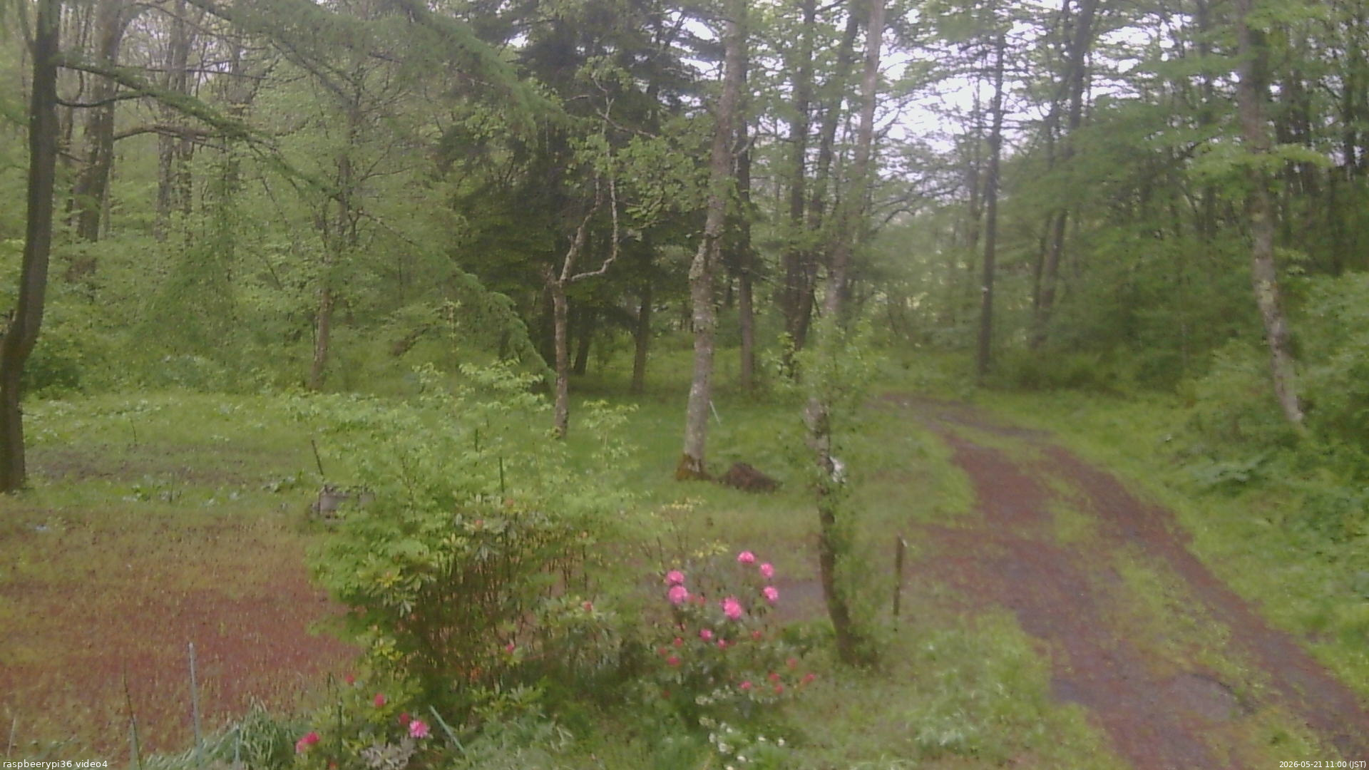 長野県菅平高原 ゆたか山荘 坂上 2026/05/21 11:00