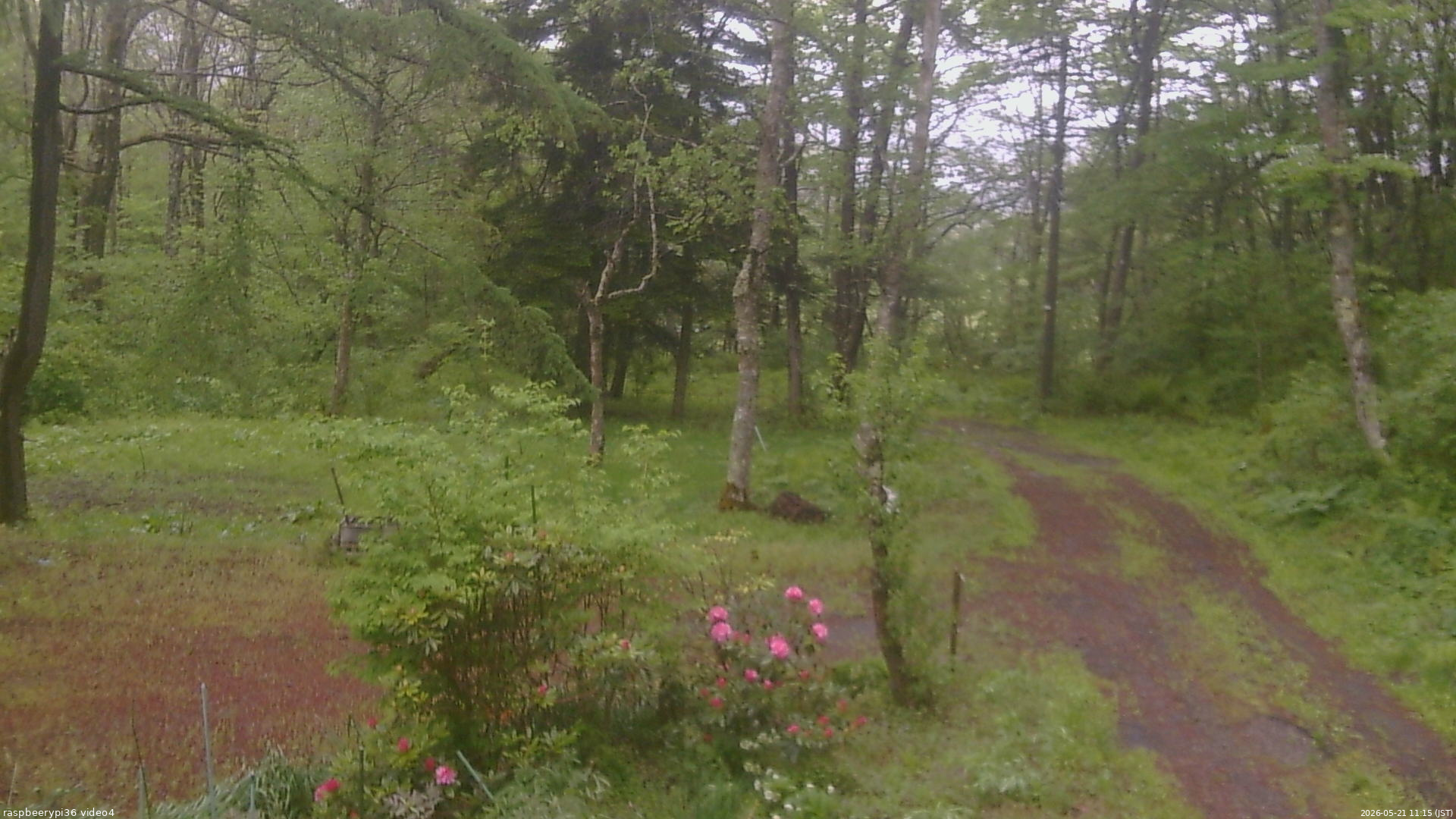 長野県菅平高原 ゆたか山荘 坂上 2026/05/21 11:15