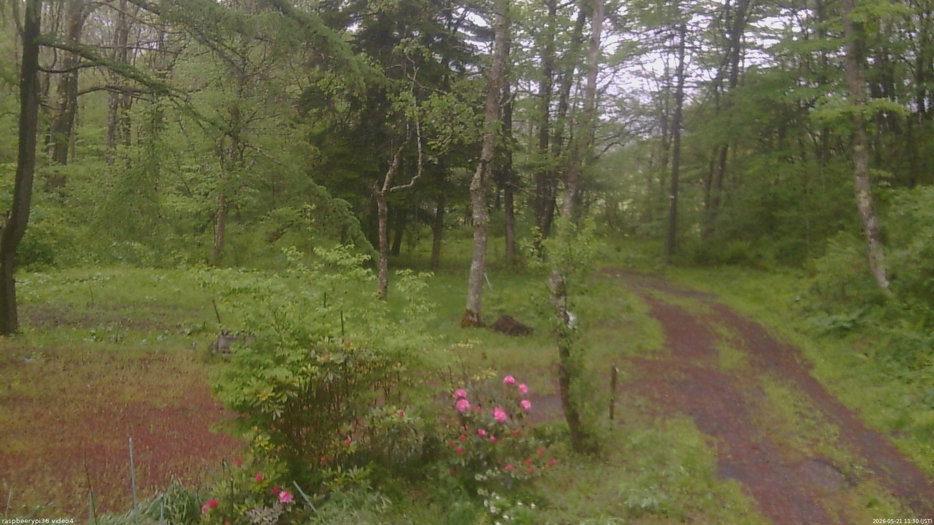 長野県菅平高原 ゆたか山荘 坂上 2026/05/21 11:30