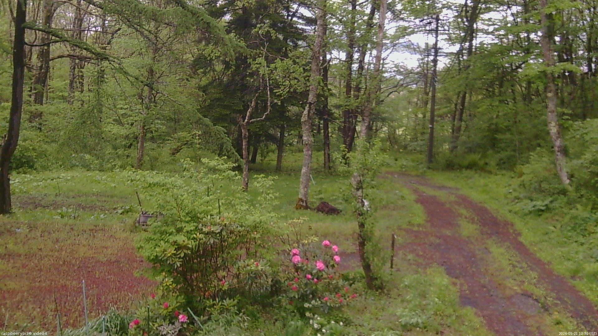 長野県菅平高原 ゆたか山荘 坂上 2026/05/21 12:30
