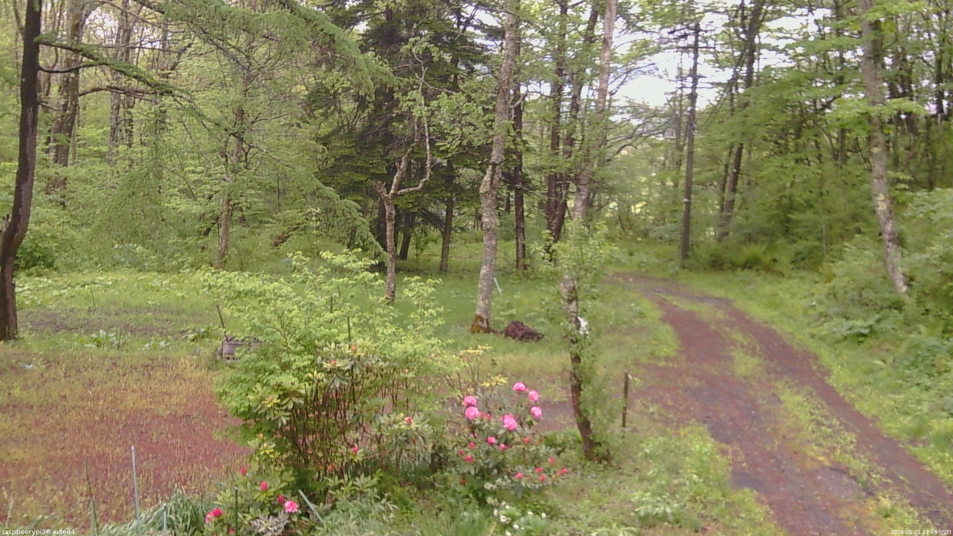長野県菅平高原 ゆたか山荘 坂上 2026/05/21 12:45